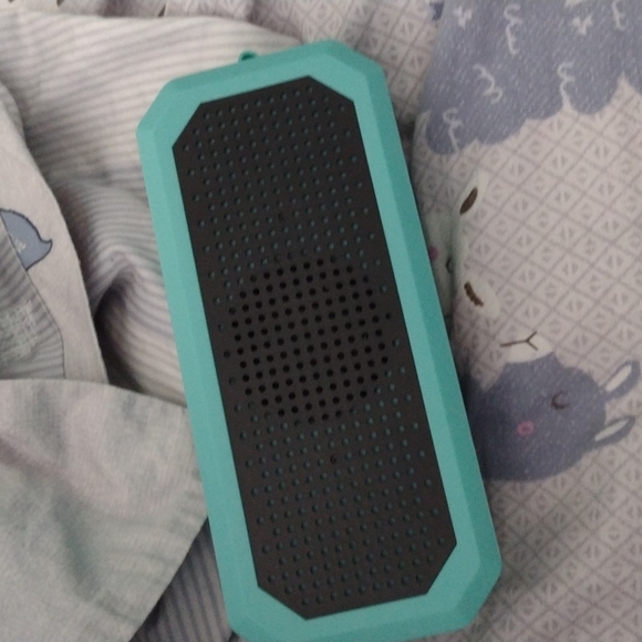 Other - Speaker